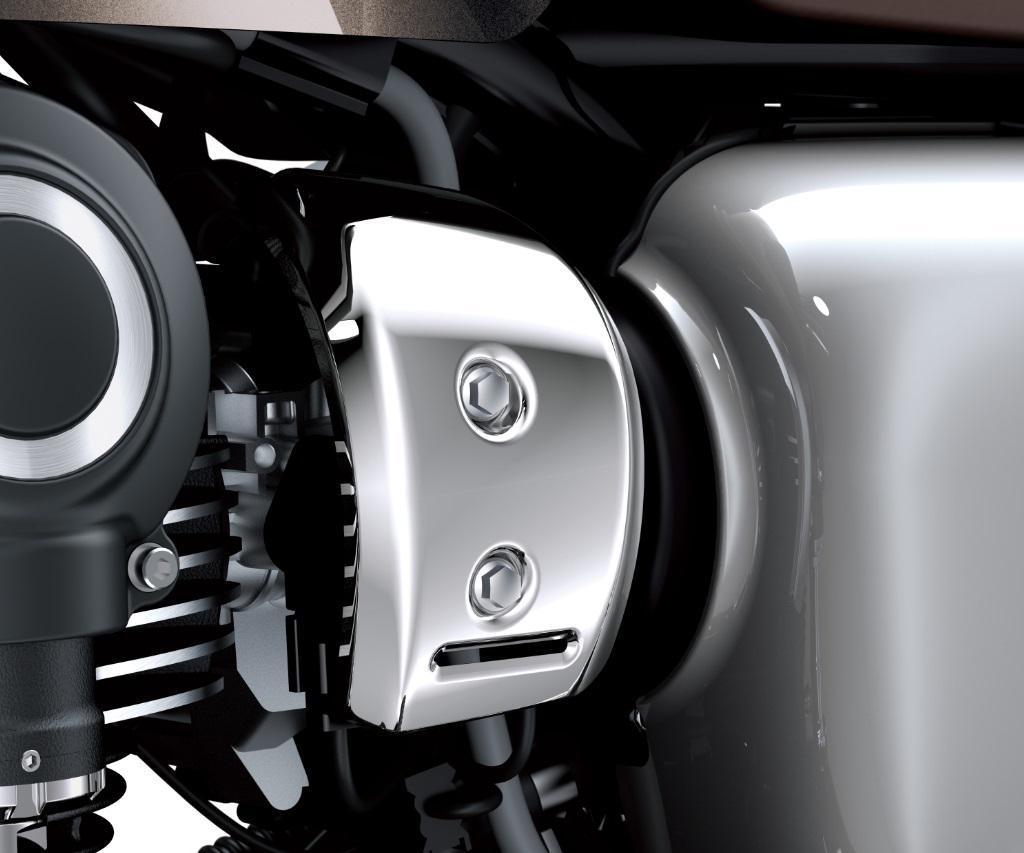 Throttle Body Covers (W800)