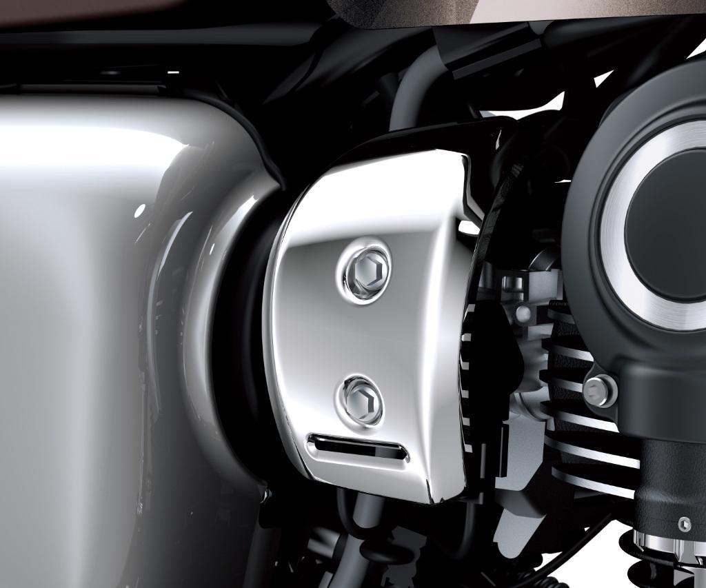 Throttle Body Covers (W800)