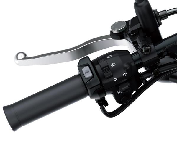 Heated Grip Set (W800)